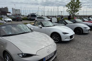 IMG_5441.jpeg IMG_5441.jpeg